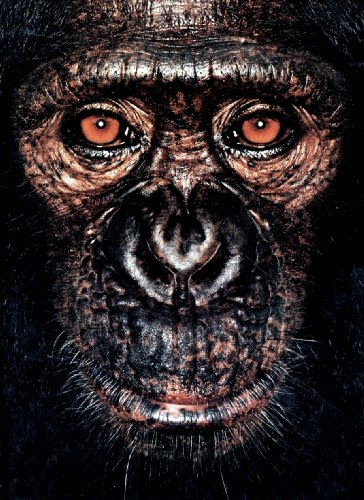 James Mollison James Amp Other Apes By James Mollison