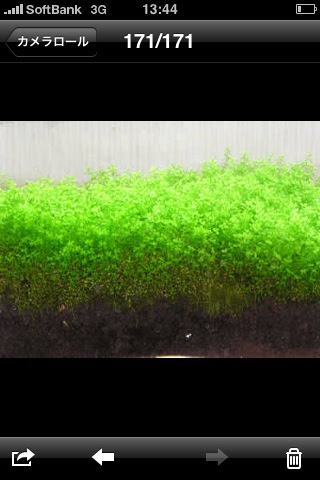 パールグラスキューバ 画家 ゆう子のつぶやき
