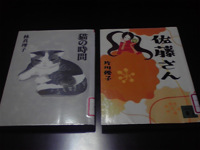 佐藤さん 片川優子 さみしさの周波数 乙一 北海道 最東端からの不定期通信