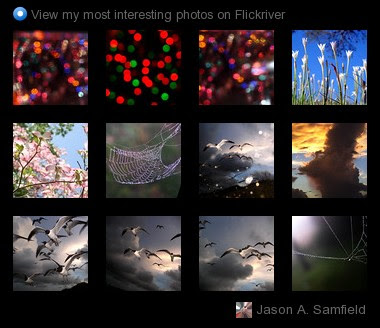 Jason A. Samfield - View my most interesting photos on Flickriver