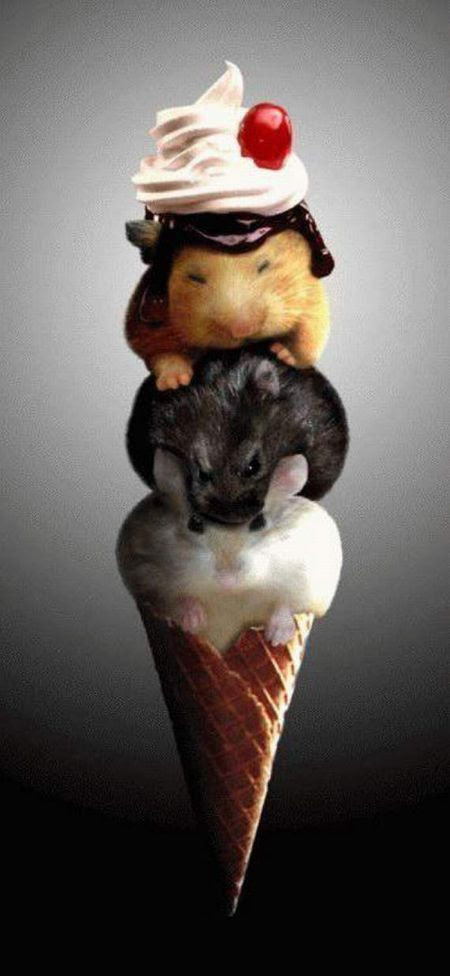 Photoshop Magic (38 pics)