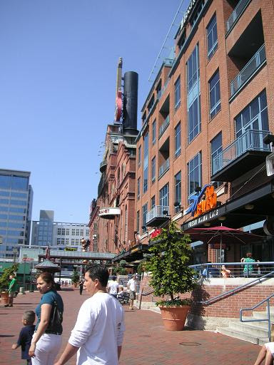 National Aquarium In Baltimore アメリカ東海岸でのまいにち 楽天ブログ