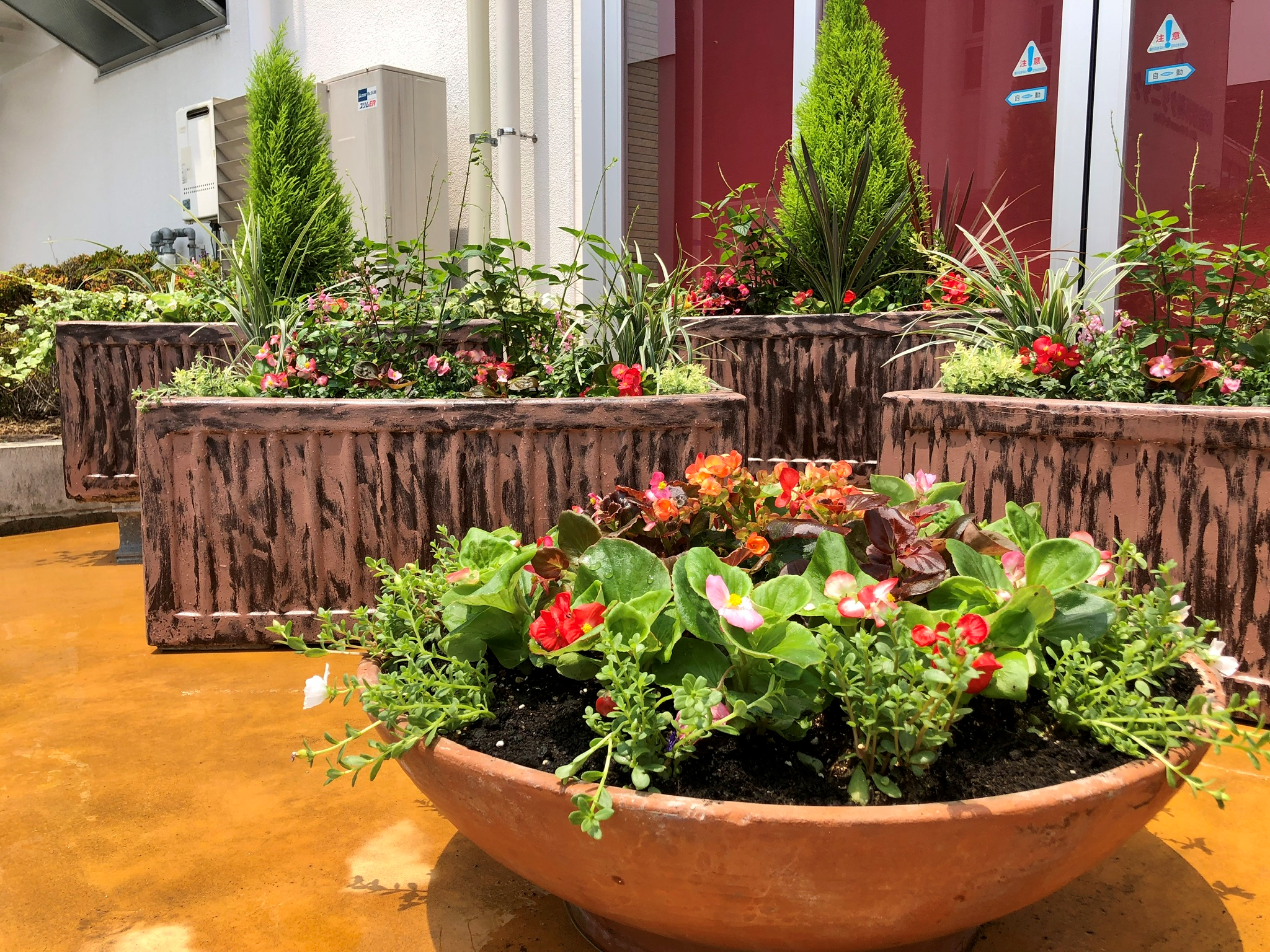 多肉ガーデンと 大型プランターで花壇風 観葉植物レンタルの大阪アルファ ウィン