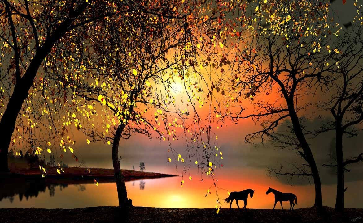 Beautiful Nature images Horses HD wallpaper and background photos 