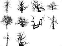 ブラシ素材 木 樹木 枝 Always Photoshop