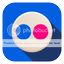 Flickr Icon photo flickr.png