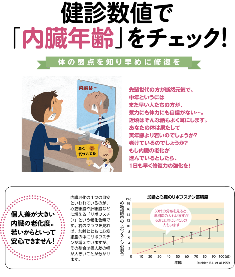 健診数値で 内蔵年齢 をチェック Health Up The Season