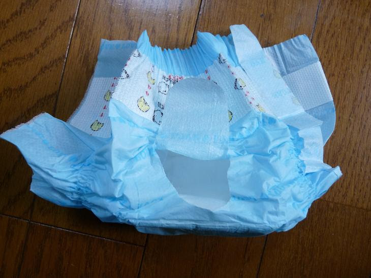 教えて わんこ用オムツ どこでも晴れたらワン歩