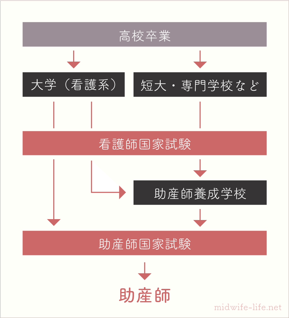 助産師になるには どんな学校に通えばいい Midwife Life