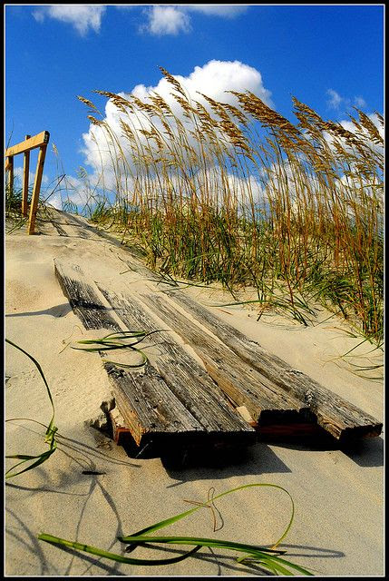 At the beach