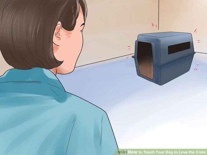 Teach Your Dog to Love the Crate Step 3 Version 3.jpg
