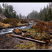 June Snow in Little Lakes Valley