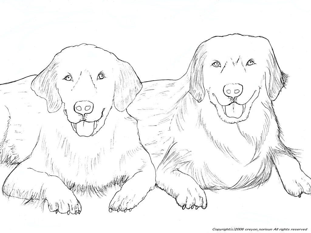 犬のぬりえの下絵