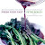 Read Online Fresh Food Fast: Delicious, Seasonal Vegetarian Meals in Under an Hour 0060515155/ Free PDF Book