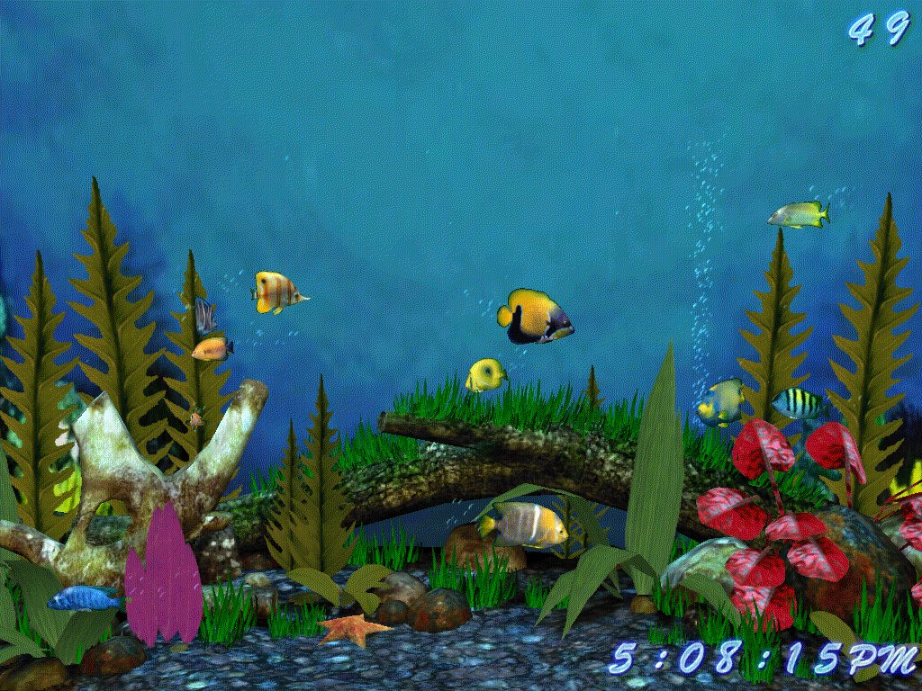 66 Aquarium Design Software Gratis Terbaru