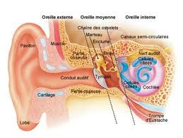 mélanome de dubreuilh définition