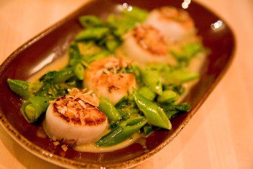 Scallops, Kin Shop