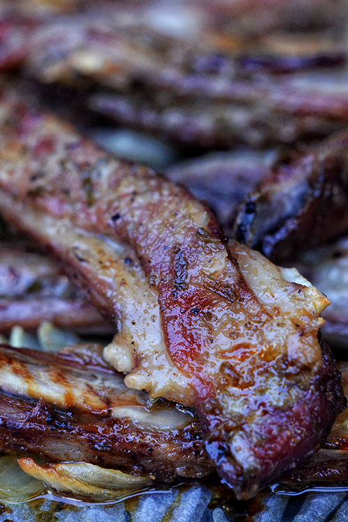 Honey Rosemary and Garlic Lamb Ribs© by Haalo