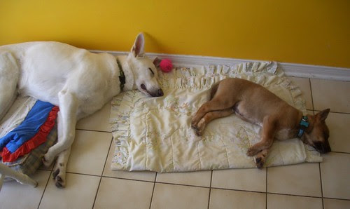 April 20- sleeping in the same position-1