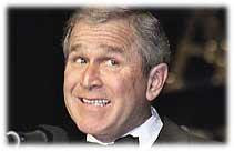 bushstupid0jy