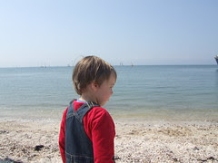2007_06020053