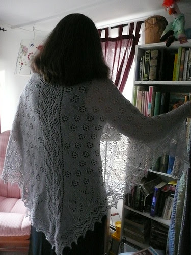 Wing of the Swan Shawl