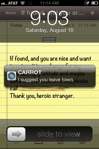 carrot