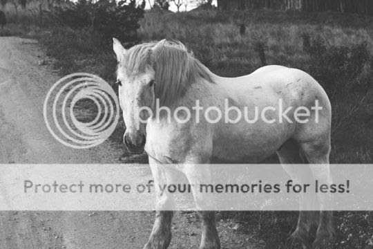  photo IMG_1388-1.jpg