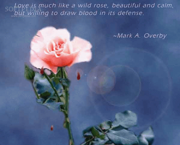 sad love sayings and quotes. love sayings and quotes to