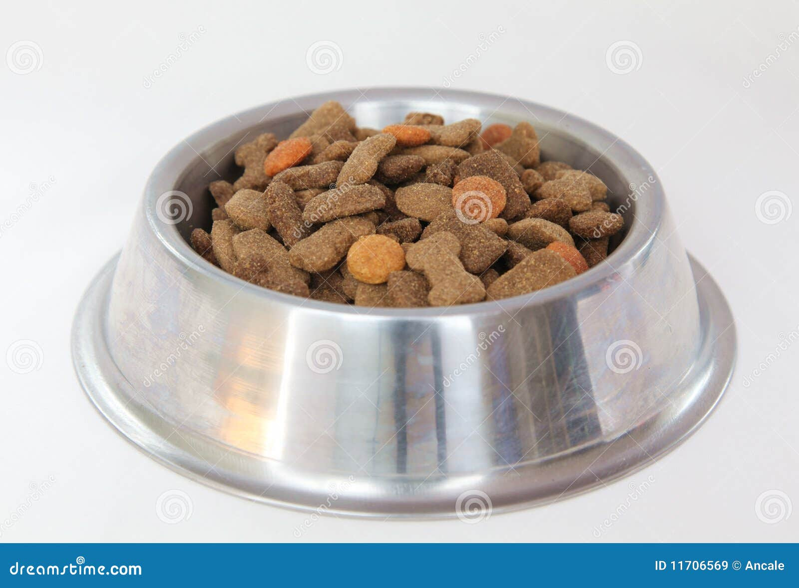How To Stop Dogs Eating Cat Food