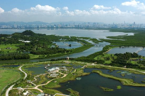 Hong Kong Wetland Park - Bird Watching | 香港濕地公園觀鳥 | The ...