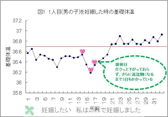 基礎体温のみの産み分けは難しい 妊娠したい 私はこれで妊娠しました