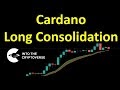 Can Cardano Reach $1000 - Https Encrypted Tbn0 Gstatic Com Images Q Tbn And9gcs3vzfmzcc21q3vngonwkh8yn9anazrt7mfyxqa5fgrxwya8lnu Usqp Cau / Cardano's recent bullish move has been viral in the crypto waters.