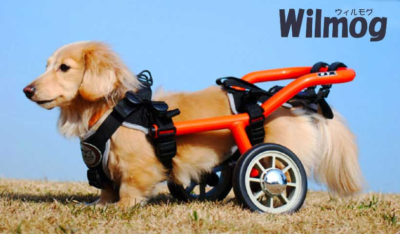 犬用車いす Wilmog ウィルモグ 製品紹介