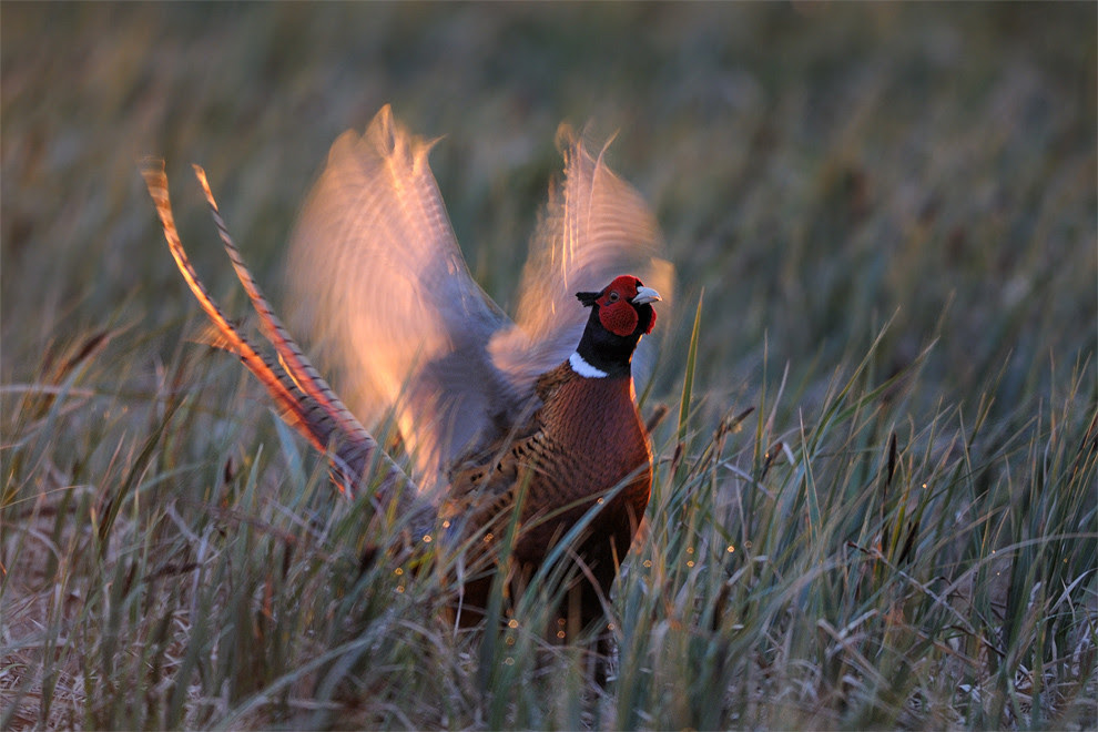nature photography, view community,