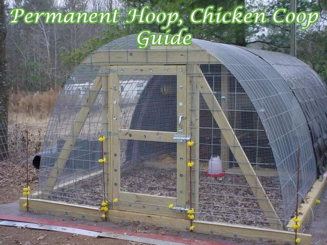 Permanent Hoop, Chicken Coop Guide | Turkey coop | Pinterest