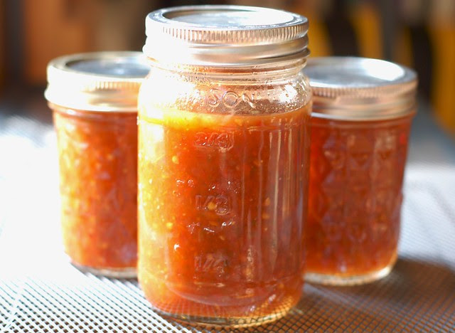 Freshly canned salsa by Eve Fox, Garden of Eating blog, copyright 2011