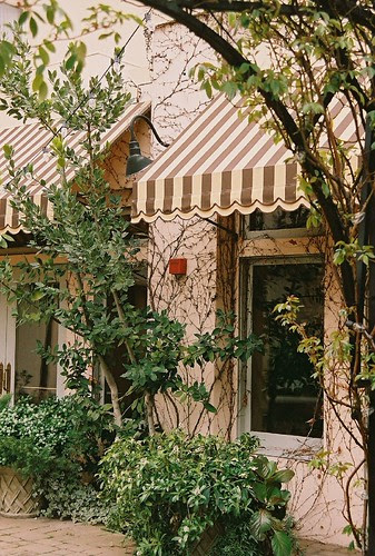 roof garden 1 by Camra_ Art / Ellen Gardner