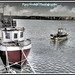 Loughshinny Harbour 10