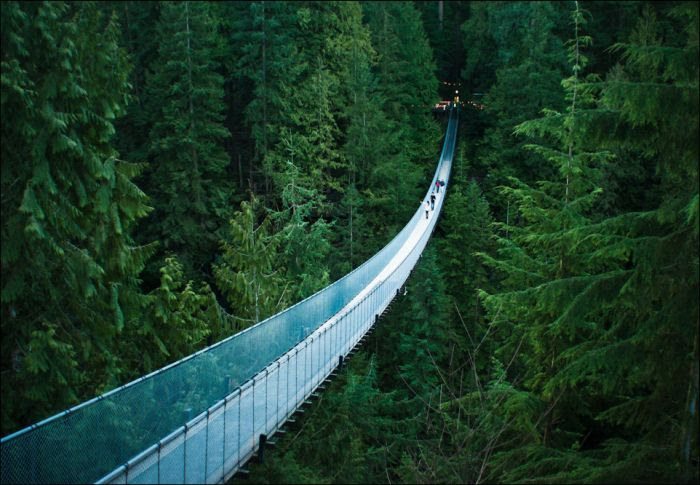 Capilano Suspension Bridge (6 fotos)