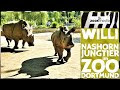 Dortmund Zoo Corona