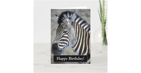  happy birthday zebra card zazzle