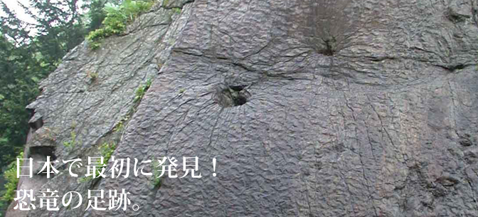 神流町恐竜センター 恐竜の足跡