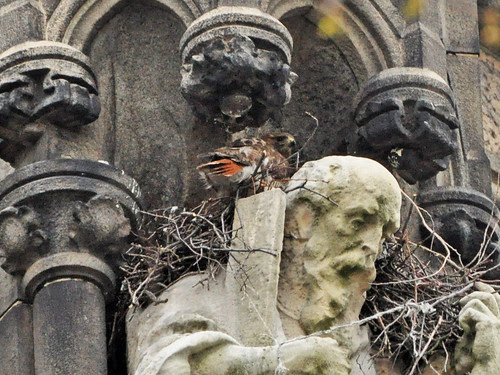 After the Feeding