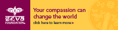 Seva Foundation banner