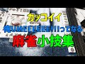 √70以上 麻雀 かっこいい画像 986499-麻雀 かっこいい画像