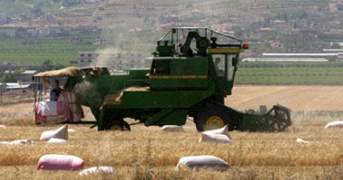 مصر تشترى آلاف الأطنان من القمح الروسى
