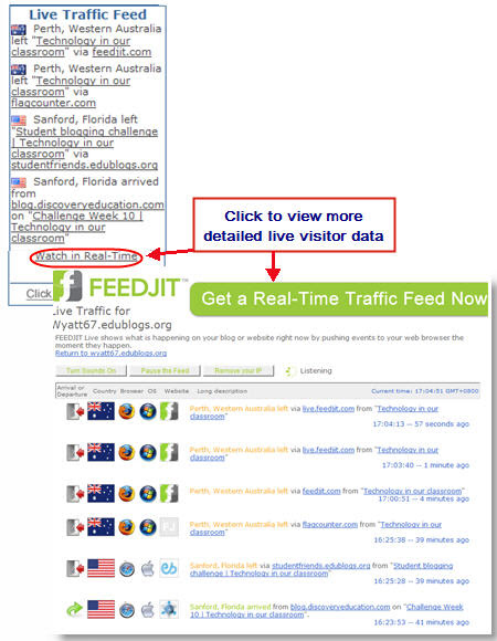 Example of Feedjit Live Traffic widget