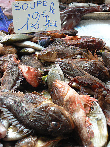 soupe de poisson.jpg