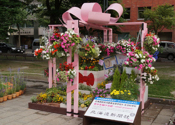花フェスタ15 14札幌 写真レポート Page5of7 Web雑記